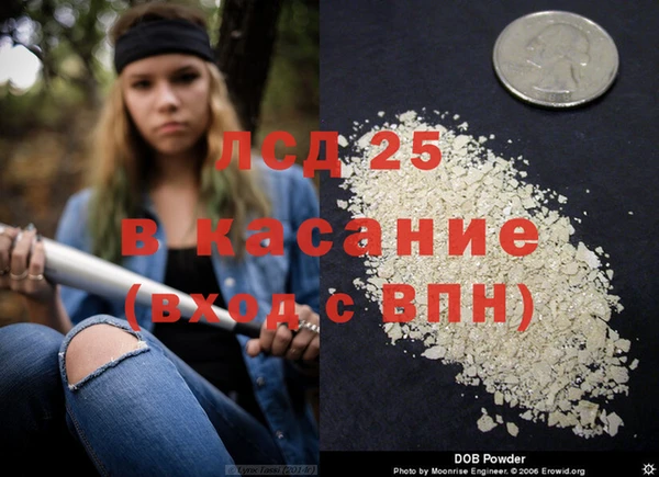 стафф Аркадак