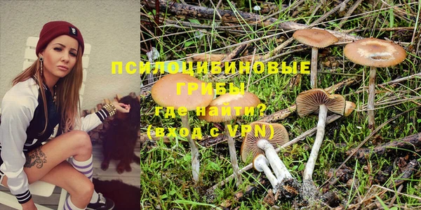 PSILOCYBIN Арсеньев