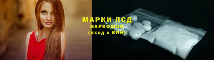 стафф Аркадак