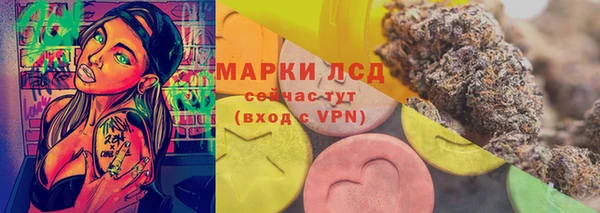 стафф Аркадак