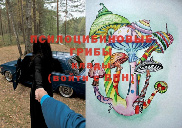 PSILOCYBIN Арсеньев