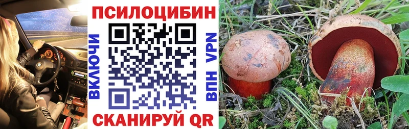 гидра зеркало  дарнет шоп  Курган  Галлюциногенные грибы Psilocybe 